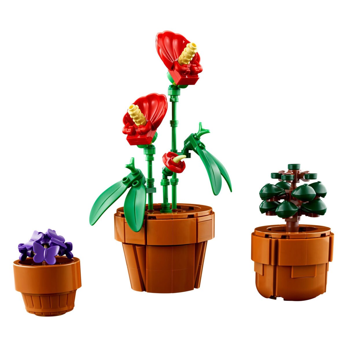 10329-1 - Tiny Plants