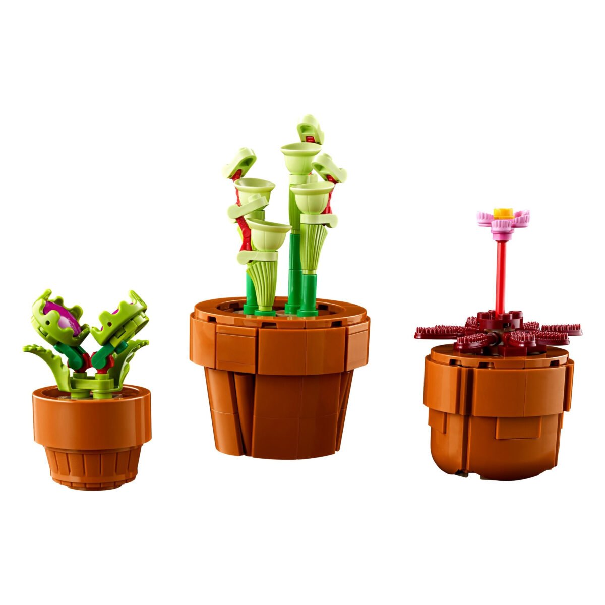 10329-1 - Tiny Plants