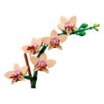 10343-1 - Mini Orchid