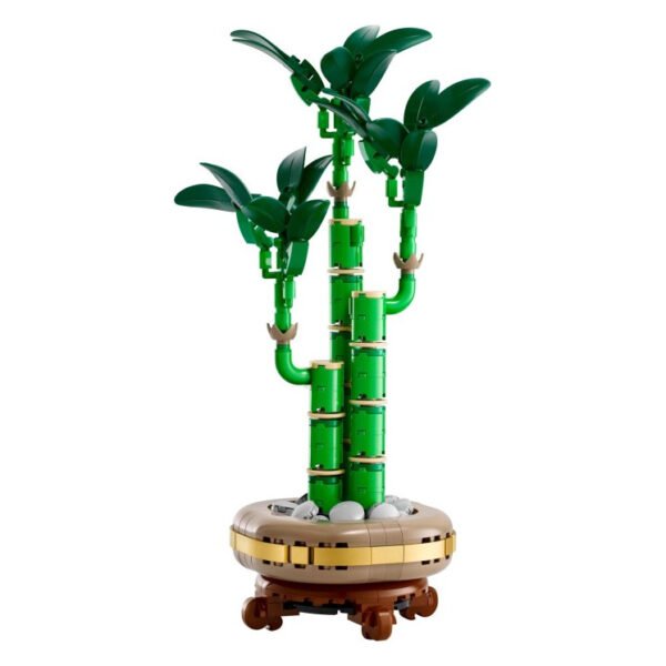 10344-1 - Lucky Bamboo