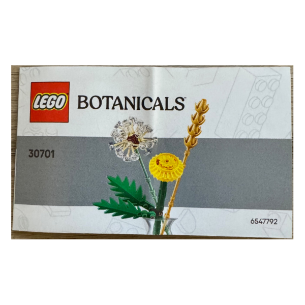 30701-1 - Field Flowers paper bag